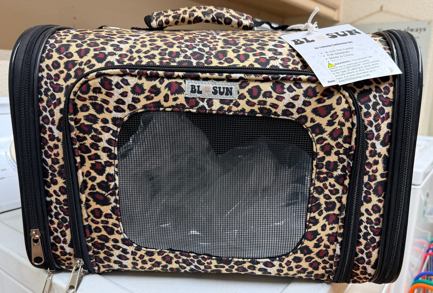 Hard Shell Carrier with Shoulder Strap