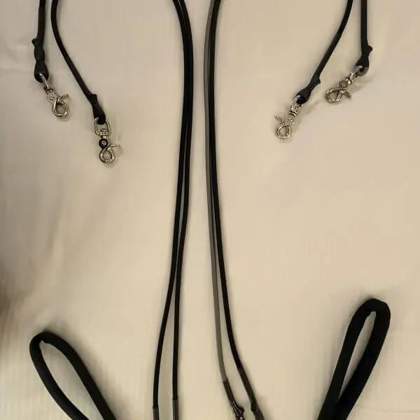 Double Dog Leash