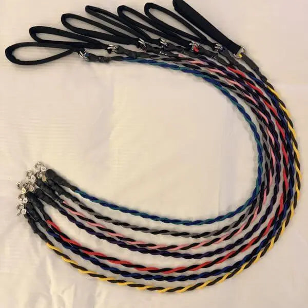 Durable nylon no-pull dog leash with a comfortable handle and secure clip, designed for walking, training, running, and everyday outdoor adventures with dogs.