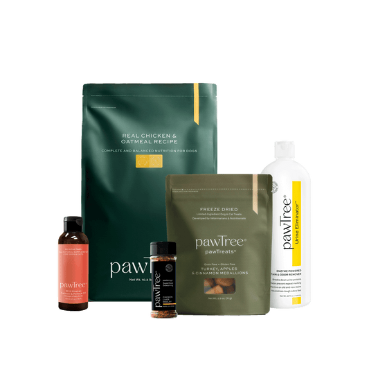 Welcoming Your New Puppy Litter: PawTree Solutions for a Healthy, Happy Start