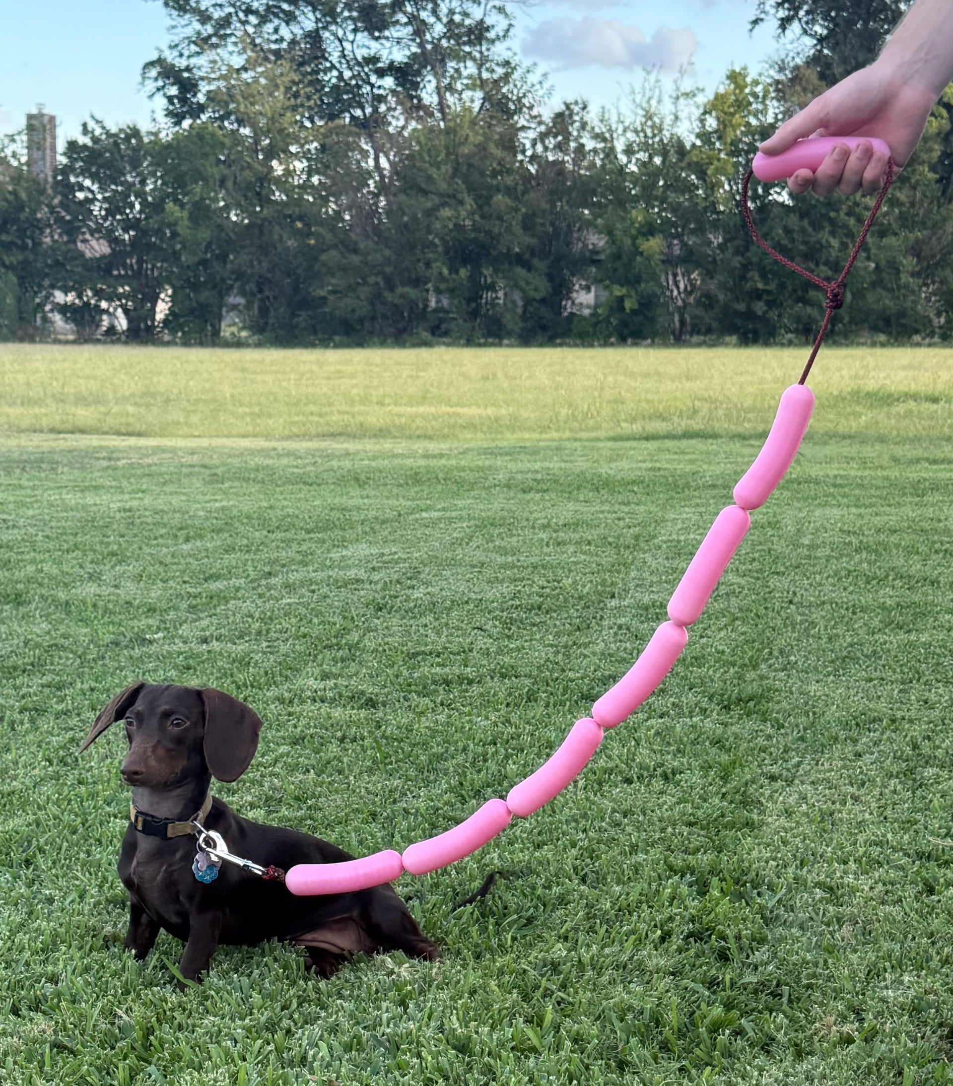 New Weiner Dog Leash