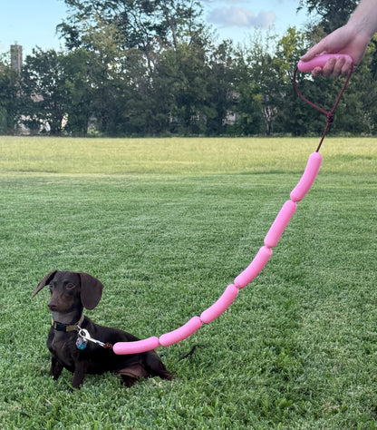 New Weiner Dog Leash