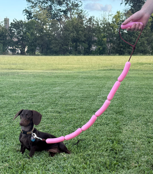 New Weiner Dog Leash