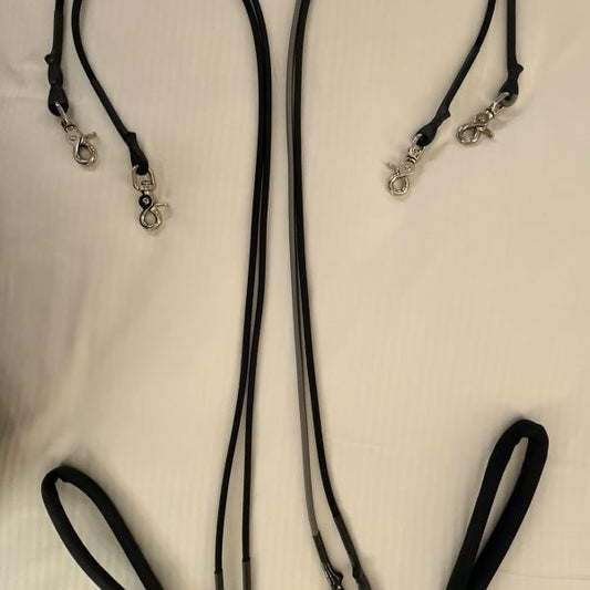Double Dog Leash